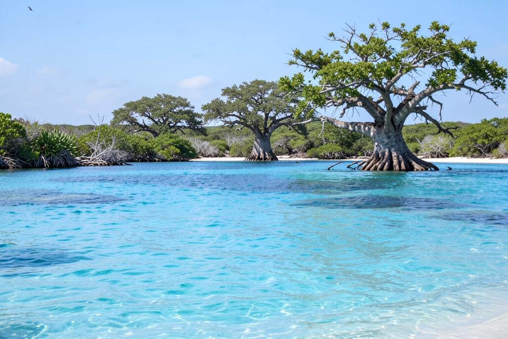 São Tomé & Príncipe